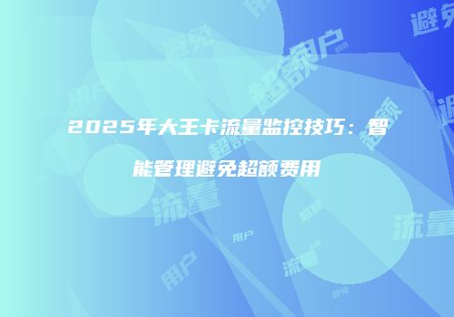 2025年大王卡流量监控技巧：智能管理避免超额费用