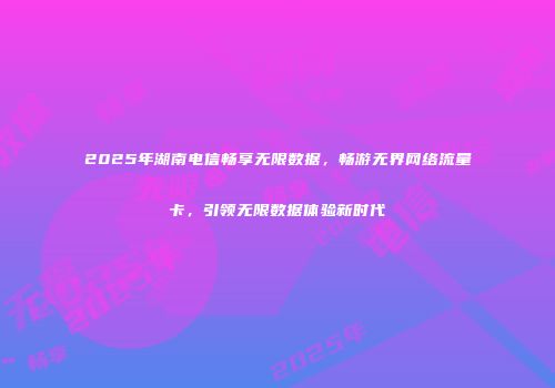 2025年湖南电信畅享无限数据，畅游无界网络流量卡，引领无限数据体验新时代