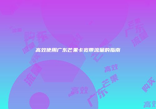 高效使用广东芒果卡宽带流量的指南