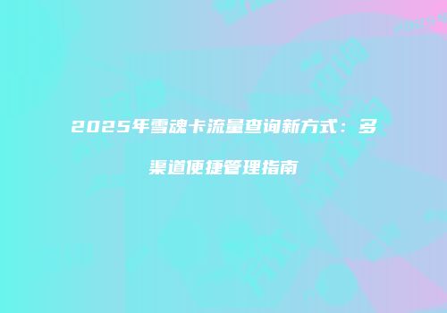 2025年雪魂卡流量查询新方式：多渠道便捷管理指南