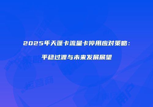 2025年天蓬卡流量卡停用应对策略：平稳过渡与未来发展展望