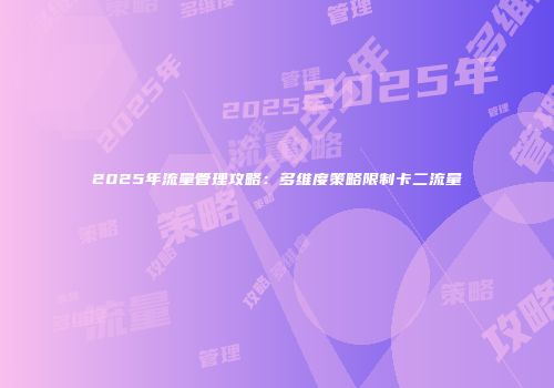 2025年流量管理攻略：多维度策略限制卡二流量