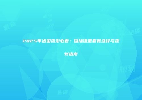 2025年出国旅游必看：国际流量套餐选择与规划指南