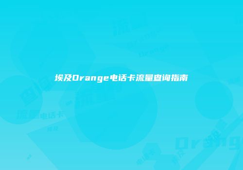 埃及Orange电话卡流量查询指南