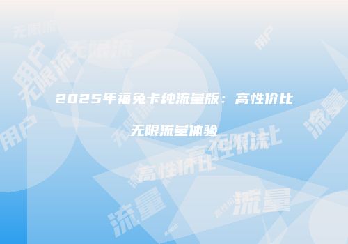 2025年福兔卡纯流量版：高性价比无限流量体验