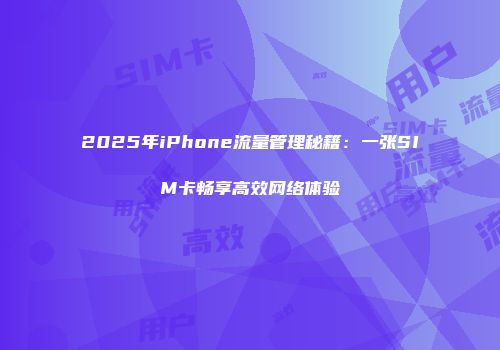 2025年iPhone流量管理秘籍：一张SIM卡畅享高效网络体验