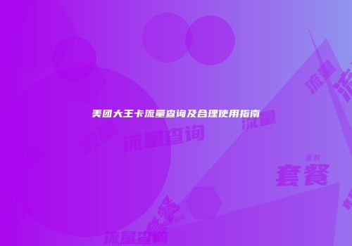 美团大王卡流量查询及合理使用指南