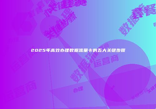 2025年高效办理数据流量卡的五大关键步骤