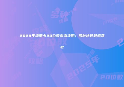 2025年流量卡20位数查询攻略：多种途径轻松获取