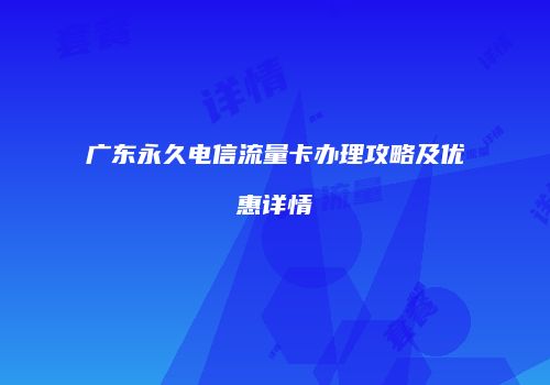 广东永久电信流量卡办理攻略及优惠详情