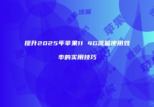 提升2025年苹果11 4G流量使用效率的实用技巧