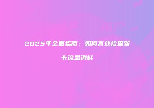 2025年全面指南：如何高效检查新卡流量消耗