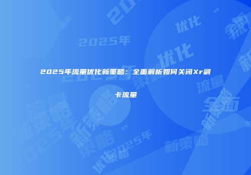 2025年流量优化新策略：全面解析如何关闭Xr副卡流量