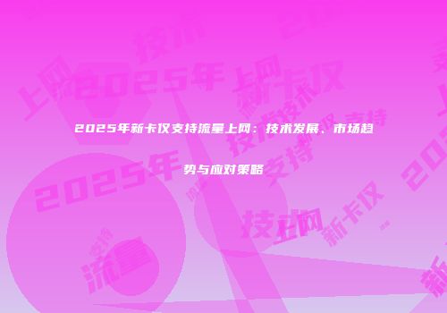 2025年新卡仅支持流量上网：技术发展、市场趋势与应对策略