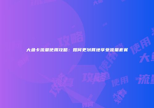 大鱼卡流量使用攻略：如何更划算地享受流量套餐