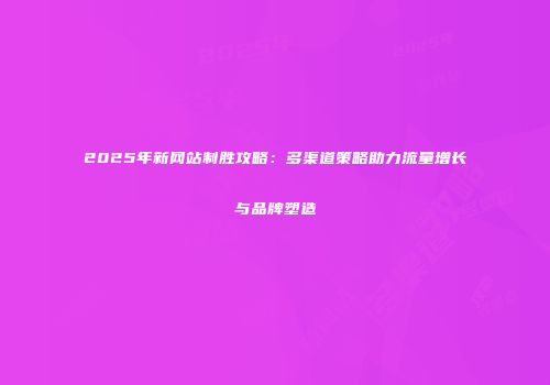 2025年新网站制胜攻略：多渠道策略助力流量增长与品牌塑造