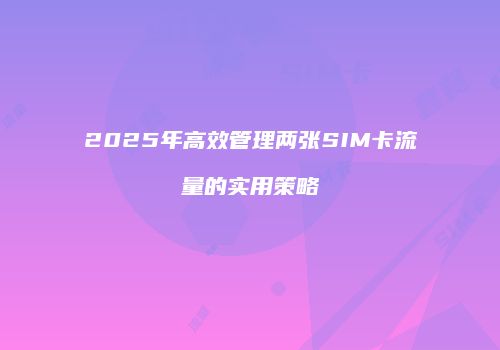 2025年高效管理两张SIM卡流量的实用策略