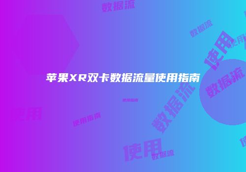 苹果XR双卡数据流量使用指南