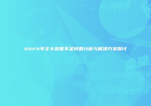 2025年王卡流量不足问题分析与解决方案探讨