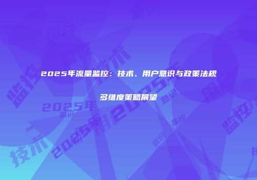 2025年流量监控：技术、用户意识与政策法规多维度策略展望
