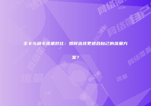 主卡与副卡流量对比：如何选择更适合自己的流量方案？