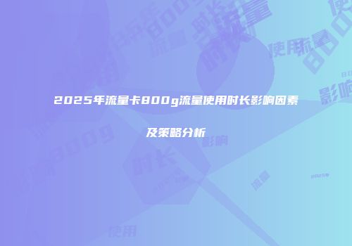 2025年流量卡800g流量使用时长影响因素及策略分析