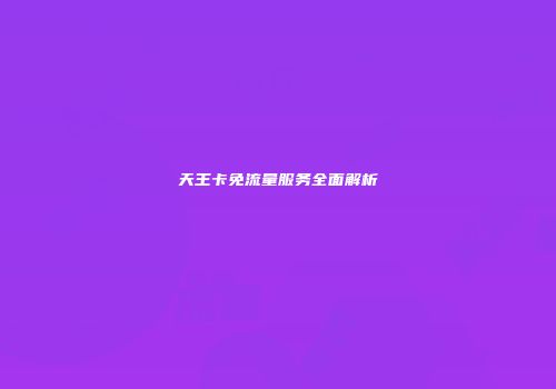 天王卡免流量服务全面解析
