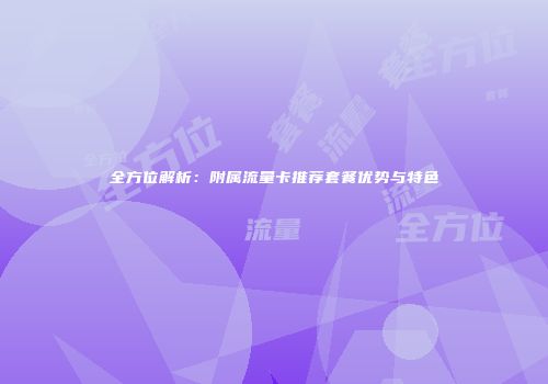全方位解析：附属流量卡推荐套餐优势与特色