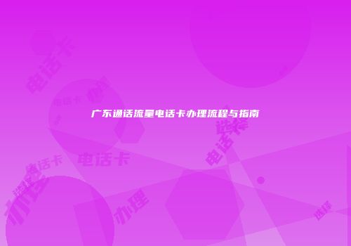 广东通话流量电话卡办理流程与指南