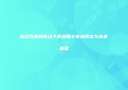 移动互联网驱动下的流量卡市场演变与未来展望