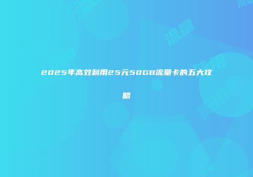 2025年高效利用25元50GB流量卡的五大攻略