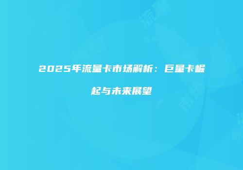 2025年流量卡市场解析：巨量卡崛起与未来展望