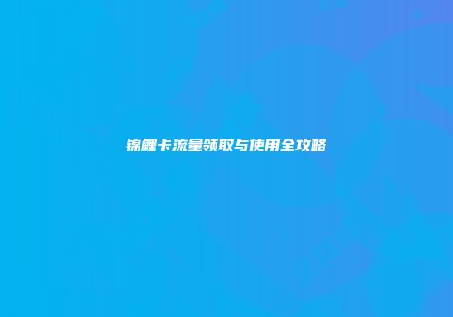 锦鲤卡流量领取与使用全攻略