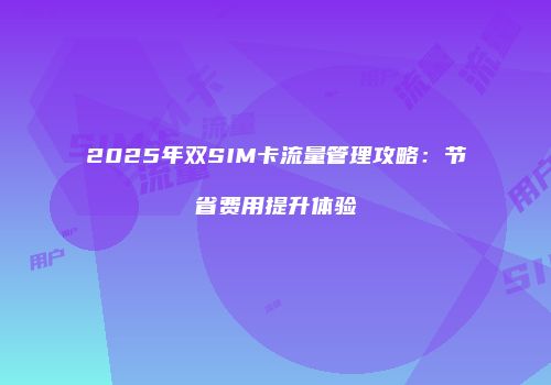2025年双SIM卡流量管理攻略：节省费用提升体验