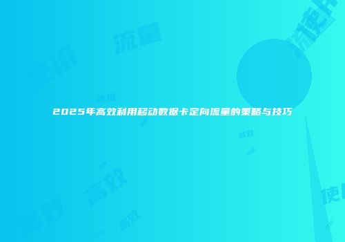 2025年高效利用移动数据卡定向流量的策略与技巧