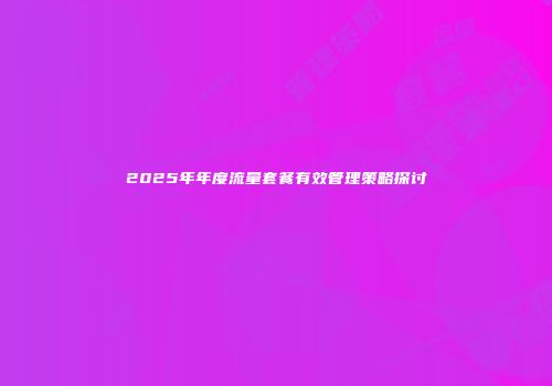 2025年年度流量套餐有效管理策略探讨