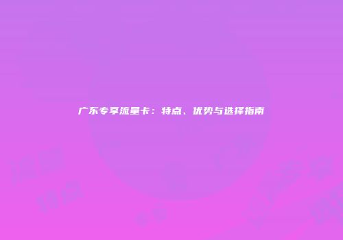 广东专享流量卡：特点、优势与选择指南