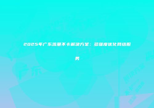 2025年广东流量不卡解决方案：多维度优化网络服务