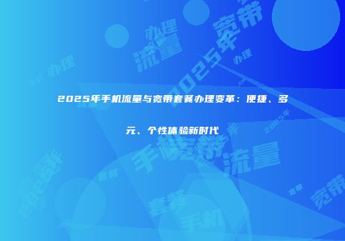 2025年手机流量与宽带套餐办理变革：便捷、多元、个性体验新时代