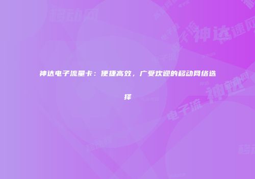 神达电子流量卡：便捷高效，广受欢迎的移动网络选择