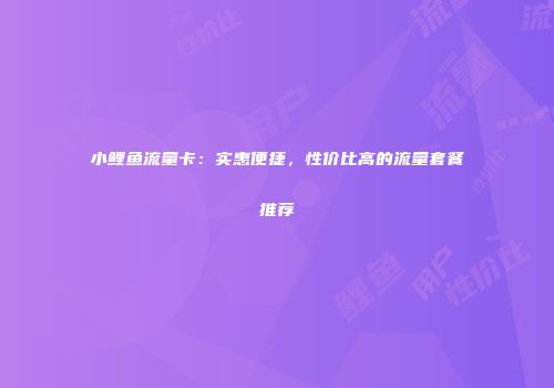 小鲤鱼流量卡：实惠便捷，性价比高的流量套餐推荐