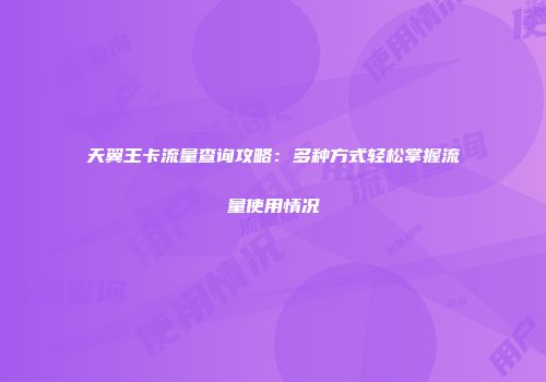 天翼王卡流量查询攻略：多种方式轻松掌握流量使用情况