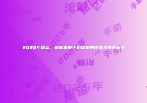 2025年展望：短信查询手机流量的便捷与未来趋势