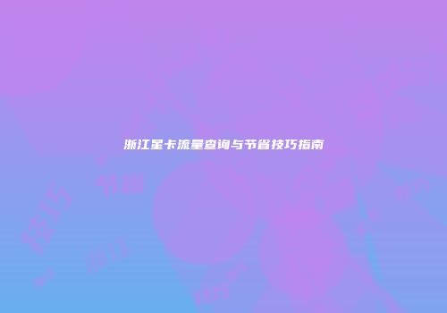 浙江星卡流量查询与节省技巧指南