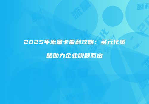 2025年流量卡盈利攻略：多元化策略助力企业脱颖而出