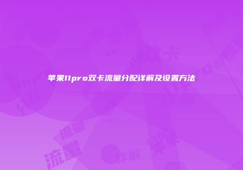 苹果11pro双卡流量分配详解及设置方法