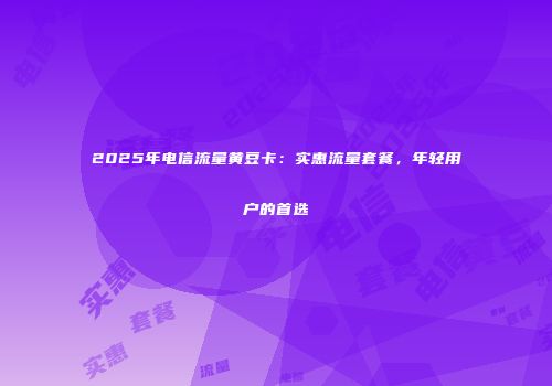 2025年电信流量黄豆卡：实惠流量套餐，年轻用户的首选
