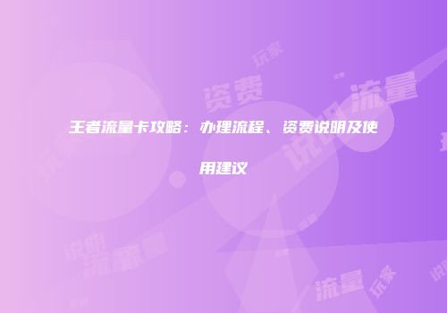 王者流量卡攻略：办理流程、资费说明及使用建议