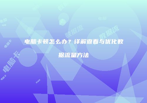 电脑卡顿怎么办？详解查看与优化数据流量方法