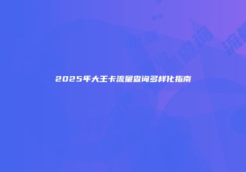 2025年大王卡流量查询多样化指南